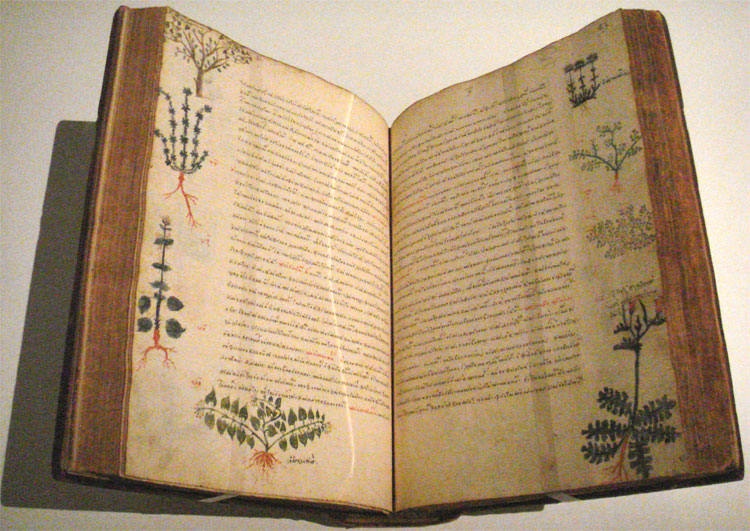 Een medisch glossarium uit de vijftiende eeuw. © Wikimedia Commons