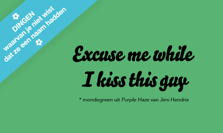 De tekst is eigenlijk: 'Excuse me, while I kiss the sky.'