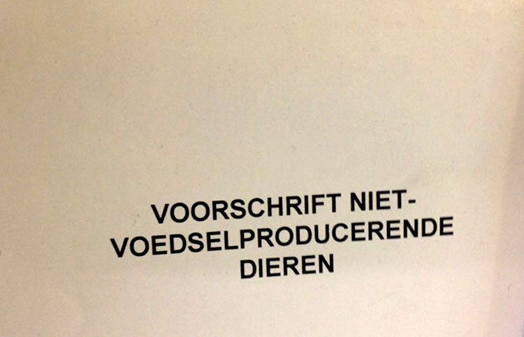 Is een konijn voedselproducerend dier of niet?