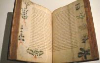 Een medisch glossarium uit de vijftiende eeuw. © Wikimedia Commons