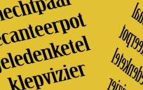 Bernlef over vergeten woorden