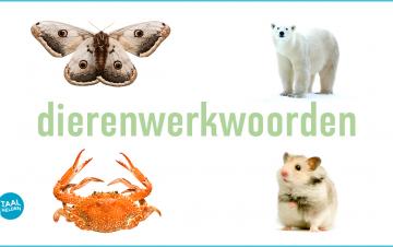Dierenwerkwoorden