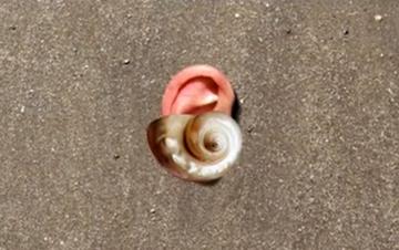 De zee, de zee, de zeeeeee