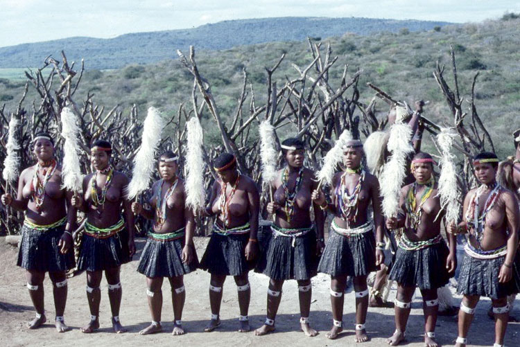 Zoeloes in 1982.